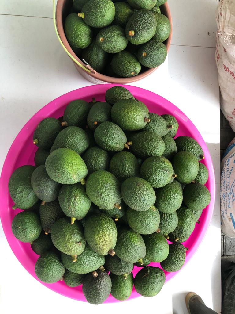Harvesting Process